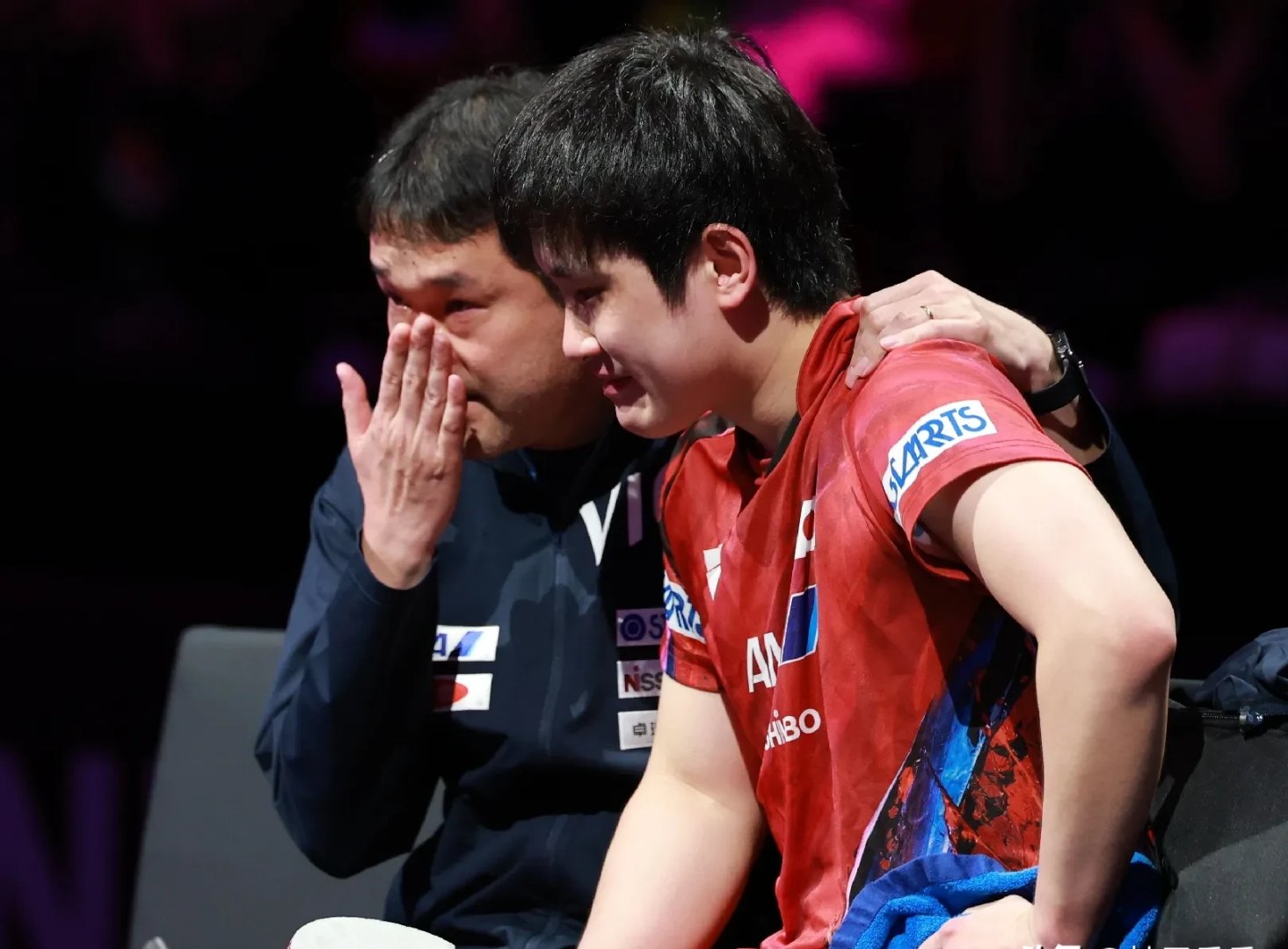 瑞典队翻盘波兰队，张本智和点燃赛场